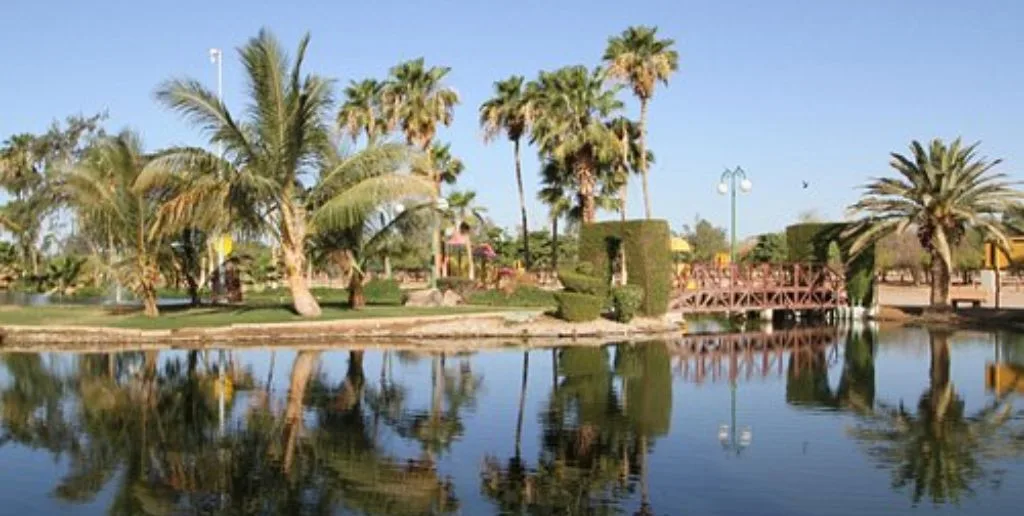 Flydubai Yanbu office in Saudi Arabia